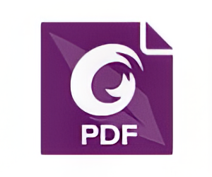 福昕高级PDF编辑器专业版 v2025.2.0.33046 中文破解版绿色精简版Foxit PDF Editor Pro