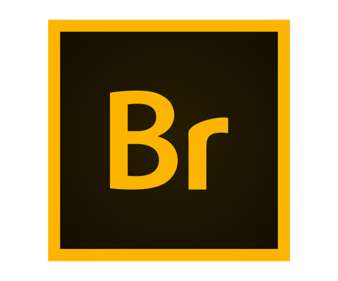Adobe Bridge 2025 v15.0.2.432 x64 免激活完整安装版