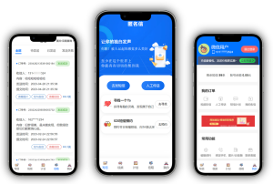 精灵传信系统 精灵通讯技术 自定义对接易支付 支持网站+小程序双端源码