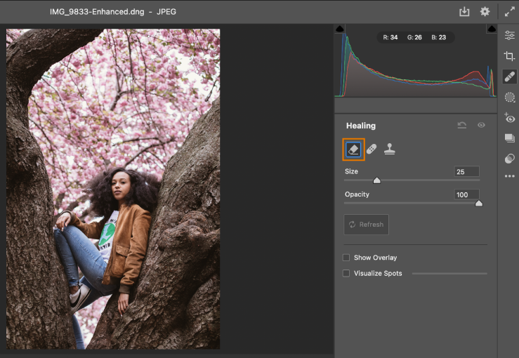 图片[2]-Adobe Camera RAW v17.2.0 增效工具