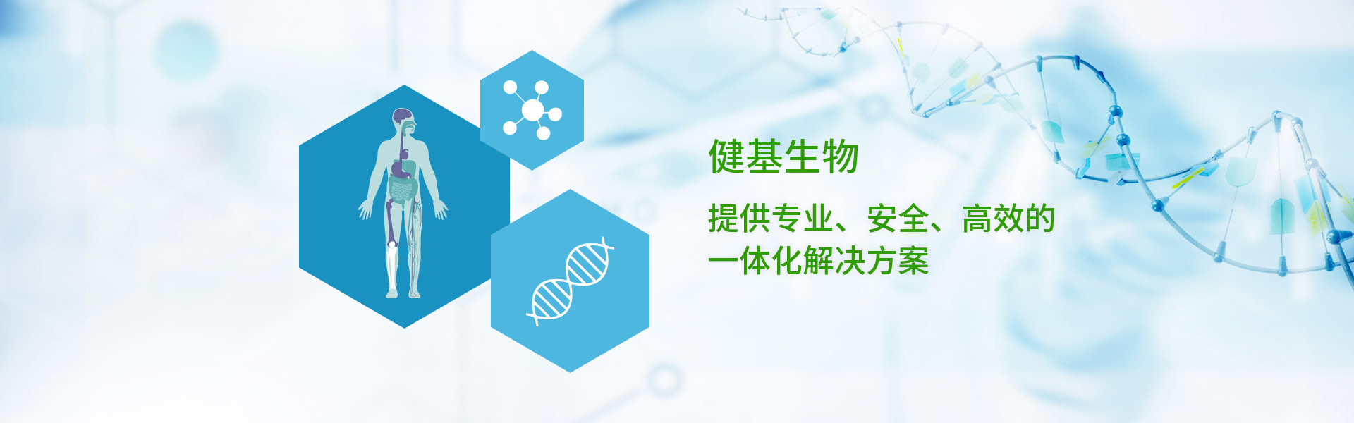 (PC+WAP)生物工程技术类pbootcms网站模板 健康管理药品药业网站源码下载