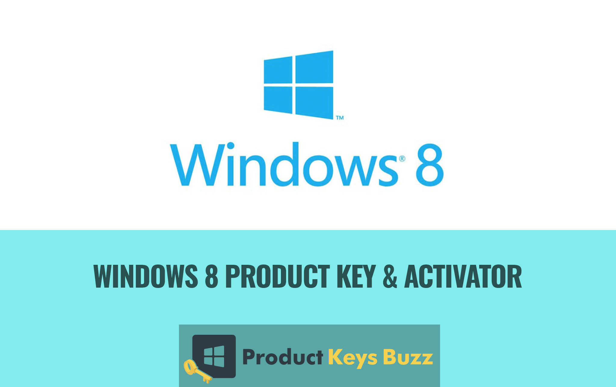 图片[1]-Windows 8 /8.1专业版激活密钥