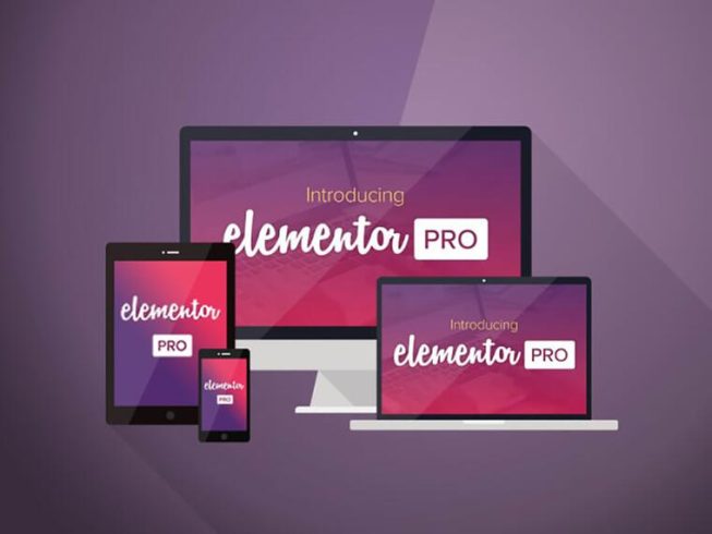 Elementor Pro最新中文破解汉化版插件 赠送500+套模板 [WordPress插件]