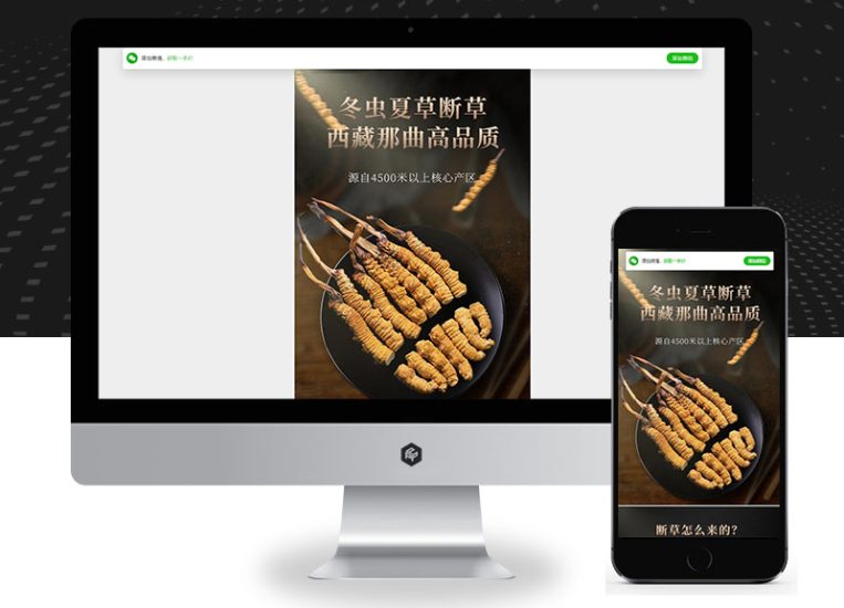 营销推广落地页(独立手机版)pbootcms模板 落地页单页网站源码-技术猿资源站