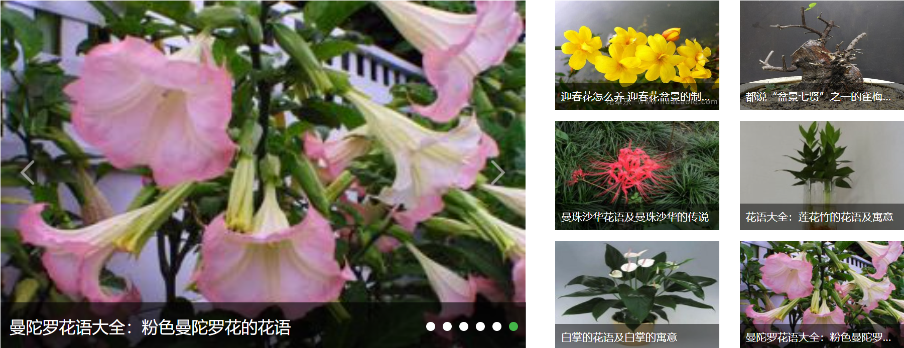 花卉养殖新闻资讯类模板 绿色植物网站源码下载