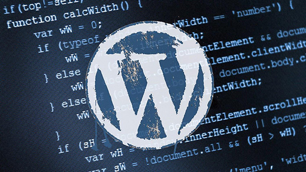 WordPress 一些常用函数方法-技术猿资源站